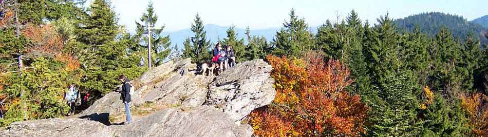 Freizeitangebote und Aktivurlaub im Bayerischen Wald