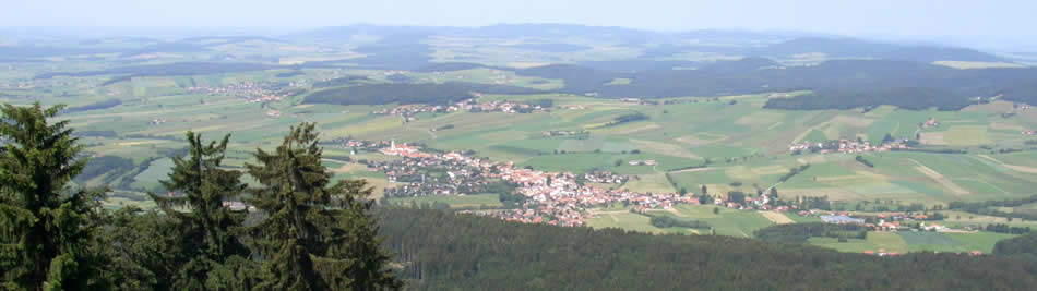 Ihre Anreise zum Ferienhotel Hohenbogen